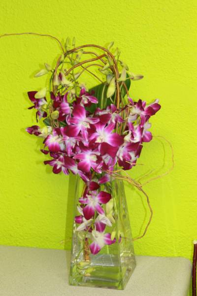 Event flowers, dendrobium orchids, trade show booth decor, Convention flowers